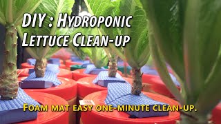 DIY: Hydroponic Lettuce - One-Minute Post-Harvest Clean-up. This Is Easiest Grow Medium To Reset!