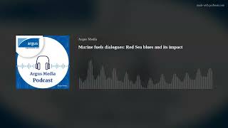 Marine fuels dialogue: Red Sea blues and its impact