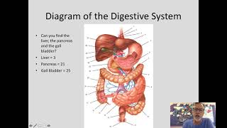 8-2 The Digestive System Pt 1