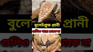 বুলেটপ্রুফ প্রানী🤔😱 || #shorts #viral #short