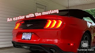 Spending Easter with the mustang!!!!!