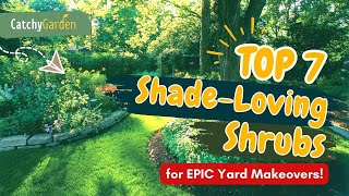 Top 7 Shade-Loving Shrubs for EPIC Yard Makeovers! 🌳💎🌿 // Gardening Ideas