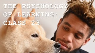 P325 – Class 23 - W14C1 - Chapter 11: Observational Learning and Rule-Governed Behavior