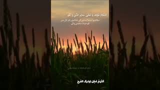 سلام صبح🌱 بح مہدوی😍 سلام میرے امام❤️(WhatsApp status Imame Zamane aj)