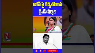 జగన్ పై రెచ్చిపోయిన వైఎస్ షర్మిల.. #yssharmila #sharmilacomments #ysjagan #ycp #ntimes