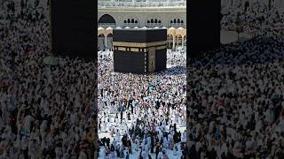 Kaaba Live🔴 Today || 12 November 2024 || #tawafekaaba #kaabalive #ytshorts #original #makkahofficial