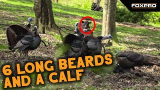 INSANE Kentucky Turkey Hunt!