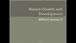 Lecture 13   Human Growth and Development