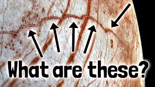 Extraterrestrial Cycloids - Why Are They on Europa?