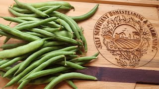 How to make Lacto-fermented greenbeans