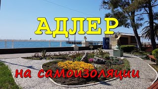 Адлер сегодня: пляжи пока закрыты, но в остальном - курорт к сезону готов!