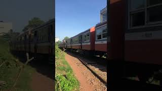 Train Passing a cross rail #shorts