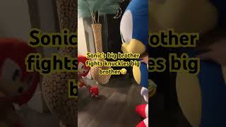 Knuckles Gets whooped by Sonic Big bro #sonic #funnymemes #fun