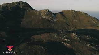 Wait for it... amazing moment Irish Buzzard comes to check out drone