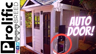 AUTOMATIC CHICKEN COOP DOOR INSTALL | RUN-CHICKEN T50