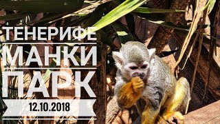 Тенерифе 2018. Манки парк: любовь попугаев, лемуры, обезьяны и многое другое.