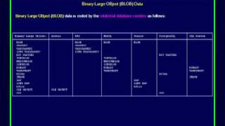 SQL 048 Data Types, BLOB Compare Database Usage