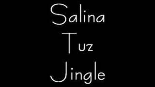 Salina Tuz Besteli Jingle Audio Çalışması. Cingıl