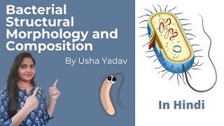 Bacterial Cellular Structure and Morphology || #Microbiology_series