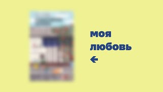 Моя новая любимая книга