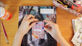 ASMR Collaging ✂️ Sticky Paper (Requested)