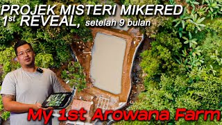 This is it. Impian Saya dalam Mengembangbiakkan Arwana Super Red Berjalan | Mike Red Farm, Chapter 1