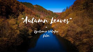 "Autumn Leaves" Cinematic Video|Bulgaria in 4K