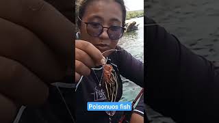 we caught this poisonous fish