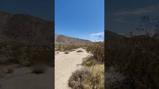 Petroglyphs of Anza Borego