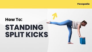 Standing Split Kicks [Flexopedia Entry 60]