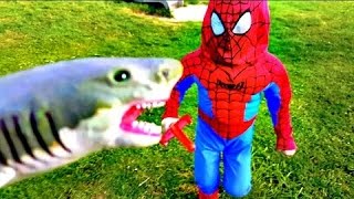 Pet Shark vs Spiderman ATTACK !! Funny Video For Kids/Alex TubeFun / HD