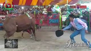 T- INSTRUCTOR De Rancho Barriga & Alcón De Hgo. San Antonio Zaragosa