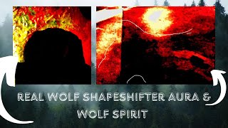 Real Wolf Shapeshifter Aura and Wolf Spirit Photos (PROOF that it Exists)