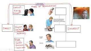 Transmission of Infectious Diseases