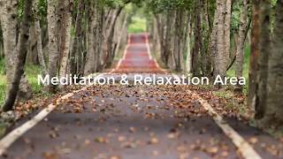 Deep Sleep Music, Insomnia, Sleep Meditation, Calm Music, Sleep Therapy, Study, Relax, Sleeping ★3