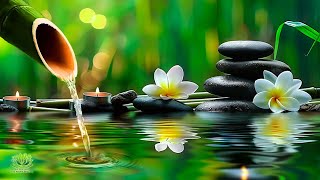 Relaxing Music to Rest the Mind-  Bamboo, Relax Spa Music, Meditation Music, Nature Music,Bird Sound