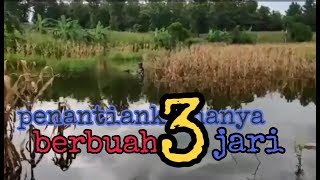 ngobok di kali bening spot leter S ||penantianku hanya berbuah 3 jari