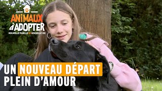 Un nouveau départ plein d'amour - Animaux À Adopter