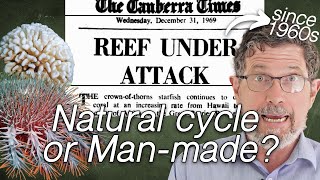 Strangely The Reef’s Threats Only Began When Scientists Started Studying It