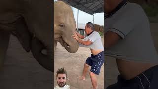 Elephant Takes Man’s Shirt!