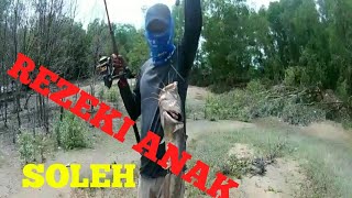 MANCING IKAN SEMBILANG MONSTER DI MUARA