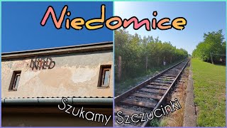 Szukamy Szczucinki: Część 1: Stacja Kolejowa Niedomice