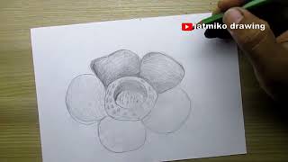 how to draw rafflesia flower