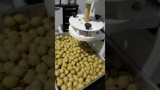 Produção de bolinha de queijo 🧀  na modeladora Compacta Print