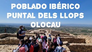 Visita al Puntal dels Llops