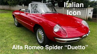 Classic 1967 Alfa Romeo Duetto Spider 1600 review - true Italian icon #alfa #alfaromeo #cars