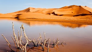 Desert Oud - Arabian Music - Meditation in Desert, Echoes of Dunes