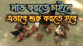 অনেকেই বুঝতে পারেন না কিভাবে লাভ করবেন। ভিডিওটি তাদের জন্য। দেশি মুরগি পালন পদ্ধতি ২০২৪