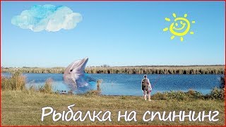 Окунь и щука на лайт спиннинг. Дешёвые колебалки с Aliexpress.