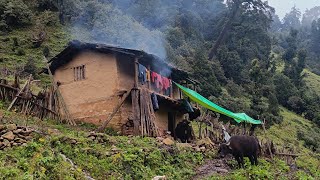 Very Relaxing Nepali Himalayan Village Life | Rain Day | Daily Activities Of Rural Village People |